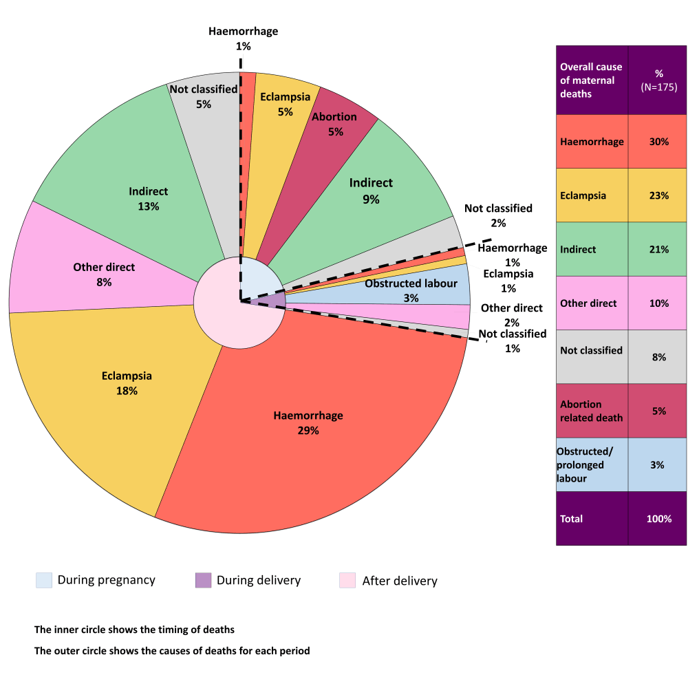 Global, regional, and national levels of maternal mortality, 1990