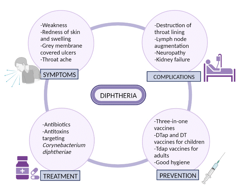 diphtheria antibiotics